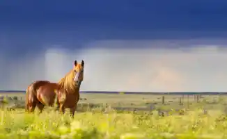 Гроза или солнце? Казахстан ждет погодный сюрприз!