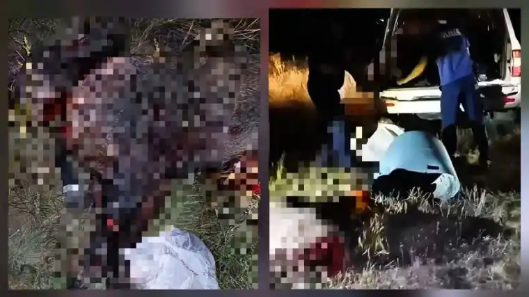 В ЗКО задержали браконьера с тушами кабанов в машине Уральске
