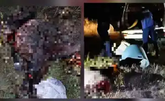 В ЗКО задержали браконьера с тушами кабанов в машине