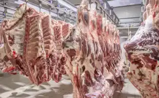 Казахстан вводит временные квоты на экспорт говядины и продлевает ограничения на экспорт топлива для сдерживания цен