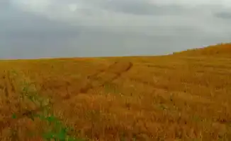Внимание, жители Казахстана! Во вторник, 9 сентября, ожидаются дожди и грозы: подробный прогноз погоды от Казгидромета