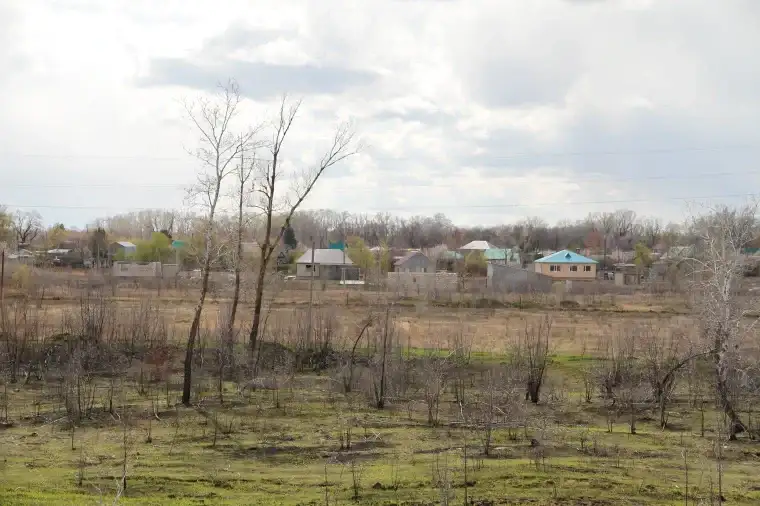 Суд в Уральске отменил штраф за нарушение права государственной собственности на землю Уральске