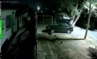 Землетрясение в Казахстане: Ночные толчки и паника среди жителей