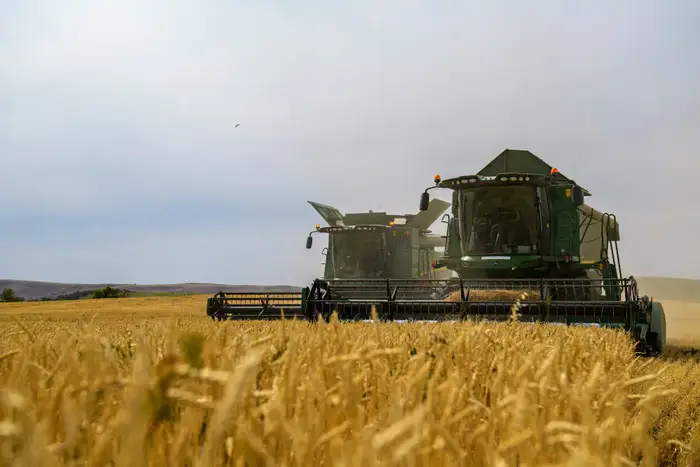 В Жетісу переработка сельхозпродукции достигла 68% на фоне роста инвестиций Уральске