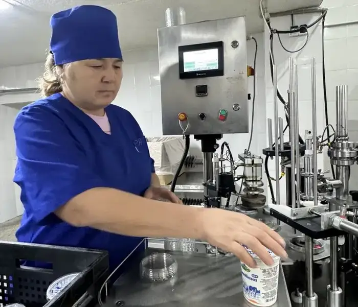 В Коксуском районе запущен новый цех по производству мяса птицы, что способствует развитию сельского хозяйства и экономики региона. Уральске