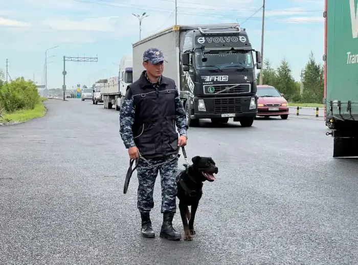 Служебная собака распознала скрытые тени гашиша в автомобиле столицы Уральске