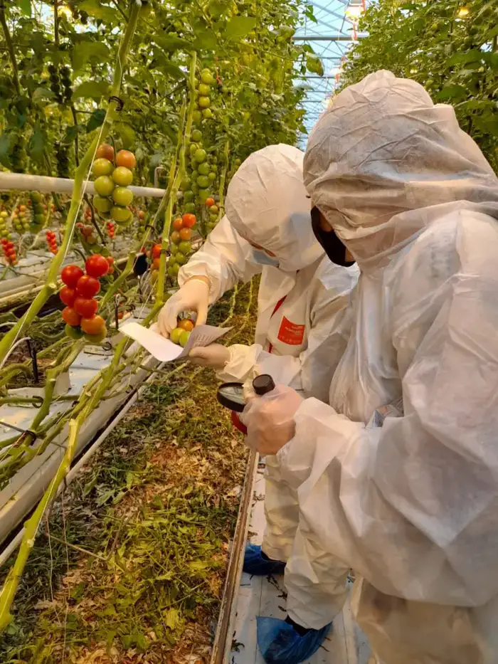 Платная экспертиза: новый стандарт для казахстанских продуктов! Уральске