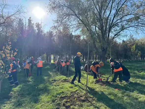 ТУРКЕСТАН: ЗЕЛЁНЫЙ ПАРАБОЛА САЙРАМСКОГО РАЙОНА — 100 НОВЫХ ДЕРЕВЬЕВ В ЗЕМЛЮ Уральске