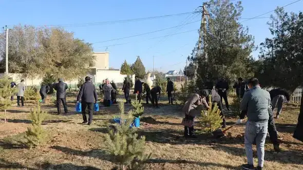 Посадка деревьев в Арысе: укрепление экологической устойчивости и гражданской солидарности Уральске