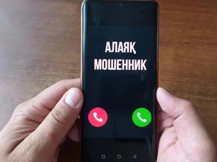 Расследование интернет-мошенничества в Костанайской области: дропперы задержаны, ущерб составил 24 млн тенге Уральске
