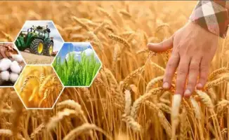 Рост производства сельхозпродукции в Актюбинской области: 296,8 млрд тенге за 9 месяцев