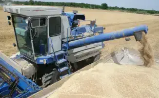 Рост валовой продукции сельского хозяйства в Казахстане на 5,4%: влияние на экономику и устойчивость агросектора