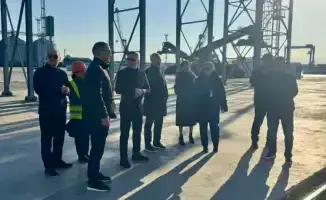 Фитосанитарный контроль в Актау международном морском торговом порту и Актау морском северном терминале