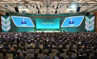 А. Сапаров: Животноводство как локомотив агропромышленного комплекса