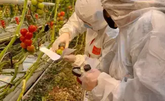 Платная экспертиза: новый стандарт для казахстанских продуктов!