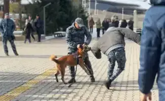 Встреча в Жетысуском университете: полицейская собака как инструмент профилактики наркопреступлений среди молодежи