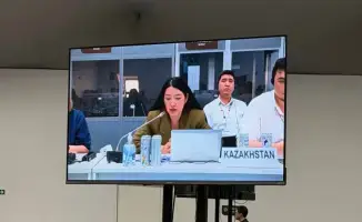 Казахстан на Climate Conference: прогресс или потенциал?