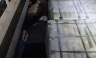 Креативная попытка контрабанды: 'Живые стройматериалы' задержаны на границе Казахстана