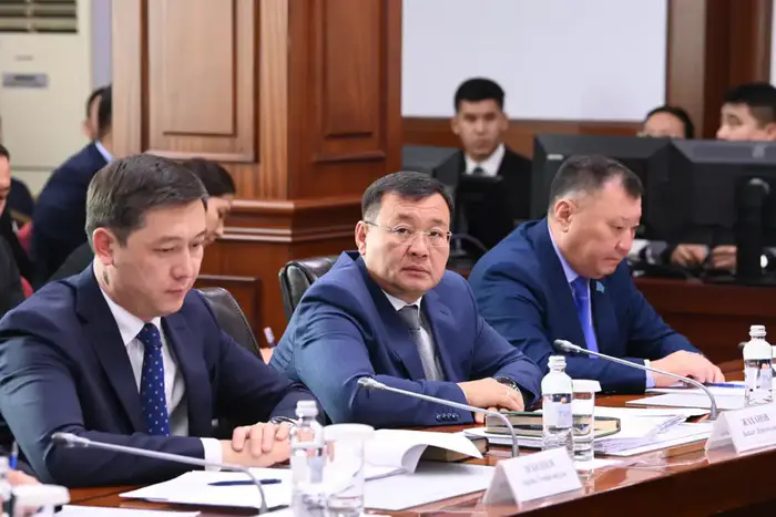 Определены ключевые задачи правительства для достижения макроэкономической стабильности к 2028 году Уральске