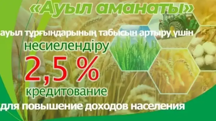 Кредиты для роста: ваша бизнес-идея в 10 минут с программой «Ауыл аманаты» Уральске