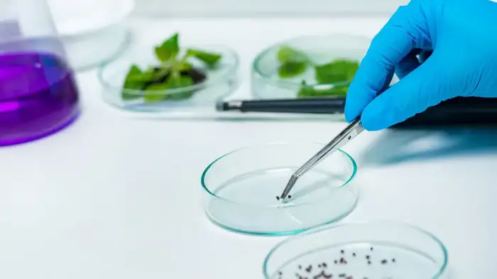 Казахстан внедряет платную систему фитосанитарного контроля для повышения продовольственной безопасности Уральске