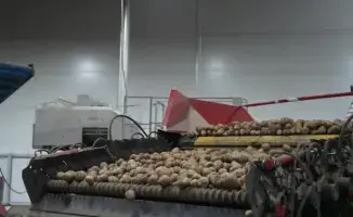 Прогноз роста производства лука и доступности картофеля в Казахстане к 2025 году
