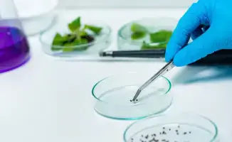 Казахстан внедряет платную систему фитосанитарного контроля для повышения продовольственной безопасности