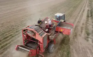 International Notice on Diesel Fuel Application Submission for Agricultural Activities in 2026