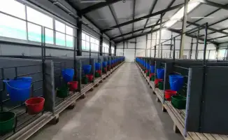 В Костанайской области открылась новая молочно-товарная ферма на 1200 голов с мощностью 6700 тонн молока в год