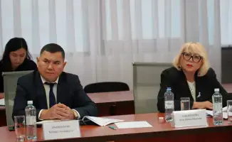 Экспертный совет по правам человека обсуждает пытки и жестокое обращение в Казахстане