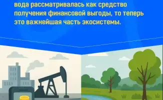 Новый Водный кодекс: шаг к защите рек от пересыхания и сохранению их экосистем