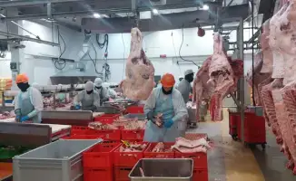 Казахстанские производители животной продукции расширяют экспортные возможности на рынке ОАЭ