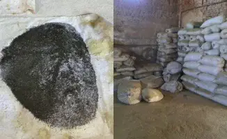 Закрытие подпольного цеха по производству насвая в Туркестанской области: полиция изъяла две тонны наркотика, что может снизить доступность запрещенного вещества в регионе.