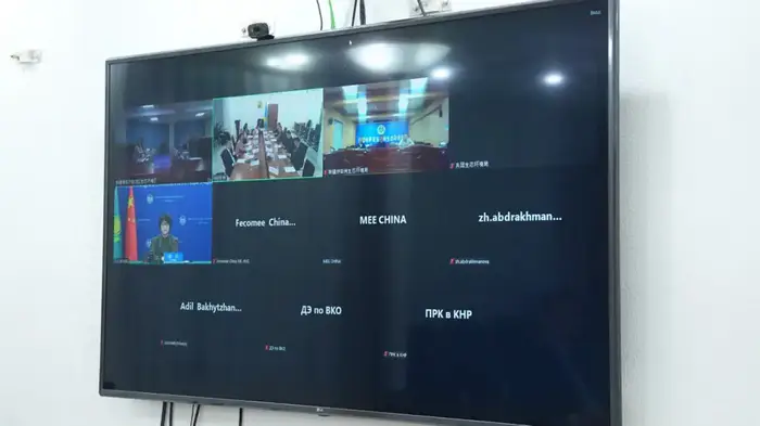 Казахстан и Китай обсудили охрану окружающей среды на 12-м заседании комиссии Уральске