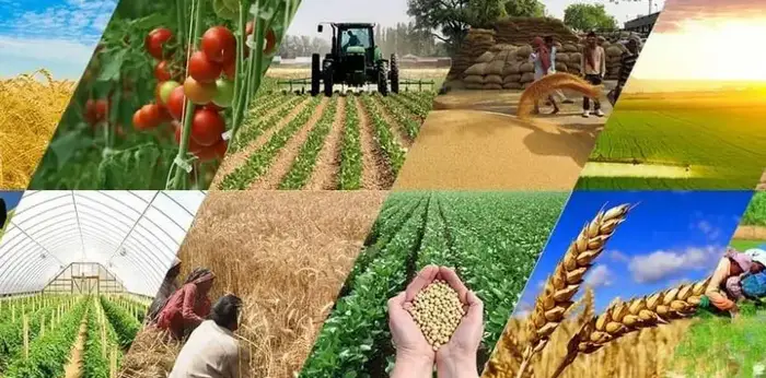 Общественные обсуждения анализа регуляторного воздействия по фитосанитарной экспертизе пройдут в январе 2026 года Уральске