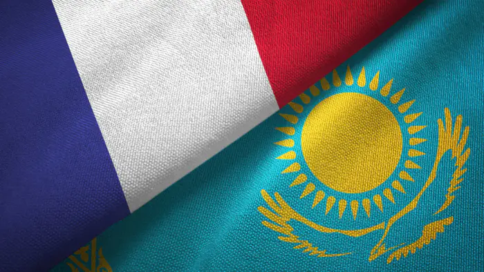 Казахстан и Франция подписали соглашение о передаче нелегальных мигрантов: ратификация Сенатом 22 января Уральске