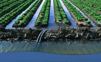 Поставщики поливной воды оштрафованы на 17,8 миллиона тенге за нарушения прав потребителей