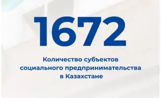 Рост числа субъектов социального предпринимательства в Казахстане: от 835 до 1 672 за год