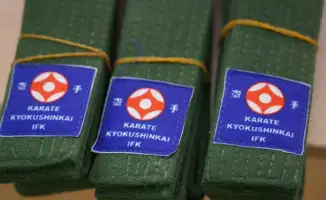 Юные каратисты получили пояса в школе столицы