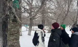 60 школьников заботятся о природе в Абайской области!