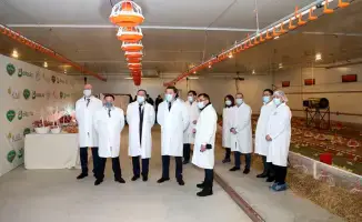 Макинская птицефабрика подтверждает статус надежного производителя, входя в Реестр отечественных товаропроизводителей