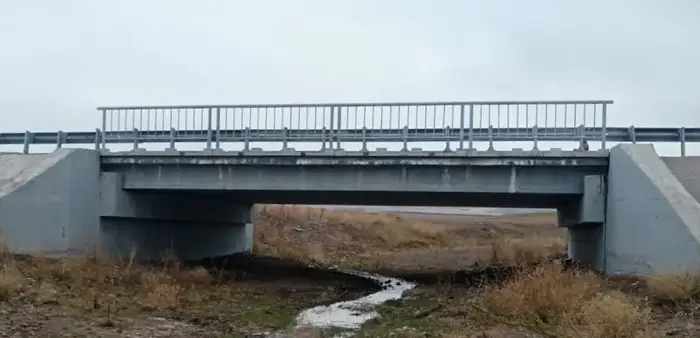 В области Жетісу решается проблема аварийных мостов (3)