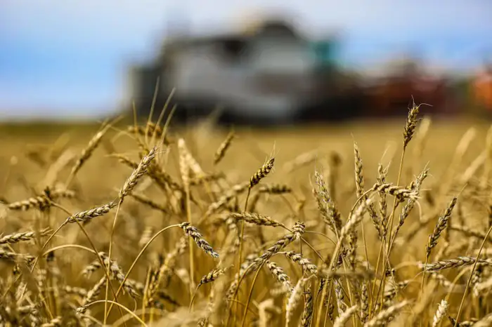 Аграрная алхимия: Казахстан превращает сельхозпродукцию в золото с помощью глубоких переработок Уральске