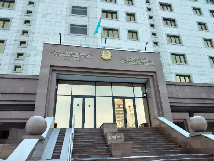 Разоблачение слухов о массовом уничтожении скота в Казахстане Уральске