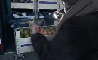 Возврат 19 тонн груш в Бельгию: последствия отсутствия фитосанитарного сертификата для экспортёров