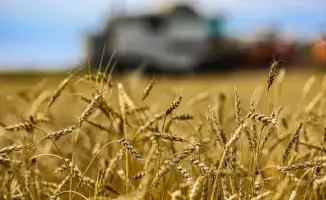 Аграрная алхимия: Казахстан превращает сельхозпродукцию в золото с помощью глубоких переработок