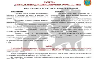 Астана напоминает владельцам собак о правилах