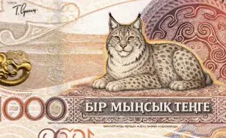 Социальные последствия назначения силовиков: как новые 1000 тенге и дело Жанабыловых влияют на общественное мнение