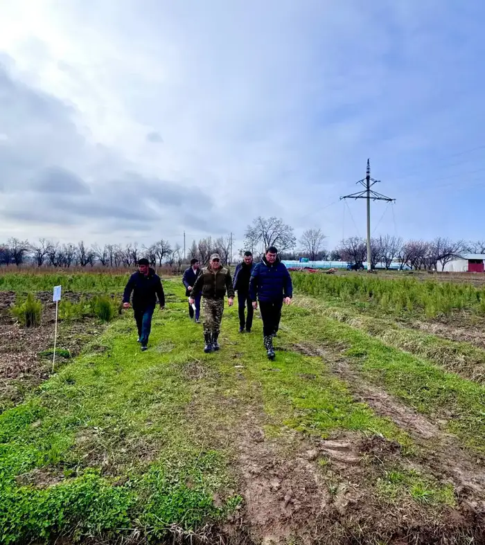 Успех Туркестанской области в производстве саженцев способствует устойчивому озеленению региона Уральске