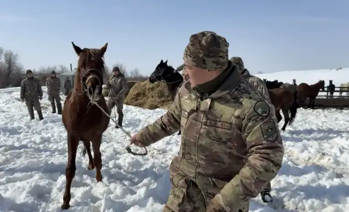 Гармония силы: как горно-егерский полк готовит своих коней к боевым вызовам Уральске